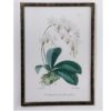 47013041 Cuadro Plantas y flores 65x90 - Imagen 2