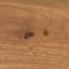 615872 Banco de gran tamaño diseño rústico 147 madera de mango acabado natural